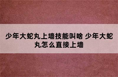 少年大蛇丸上墙技能叫啥 少年大蛇丸怎么直接上墙